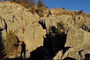 Monte VACCAREGGIO (1474 m) da Lavaggio di Dossena il 24 dic. 2017 - FOTOGALLERY